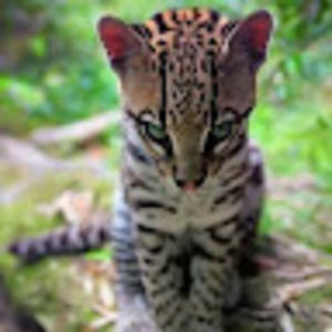 Meet your Posher, Breanna